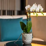 Livvo Lumm 4* Las Palmas de Gran Canaria