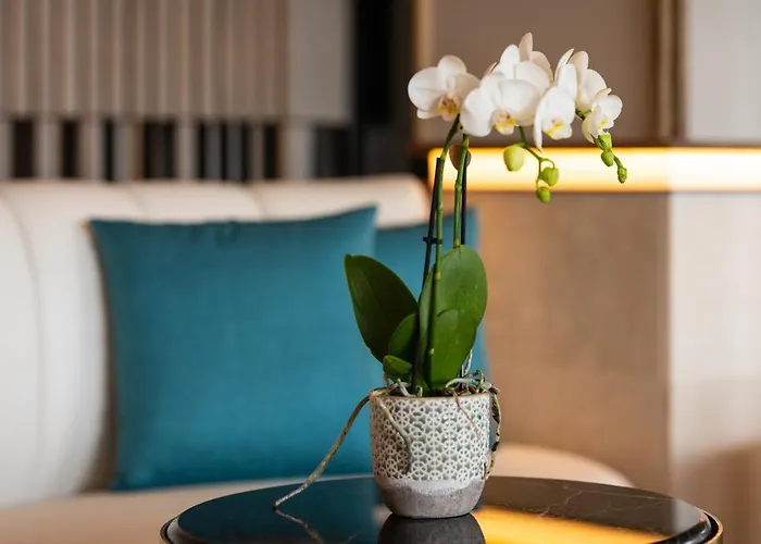 Livvo Lumm 4* Las Palmas de Gran Canaria