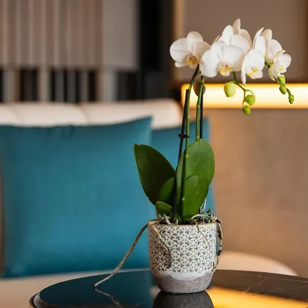 Livvo Lumm 4* Las Palmas de Gran Canaria